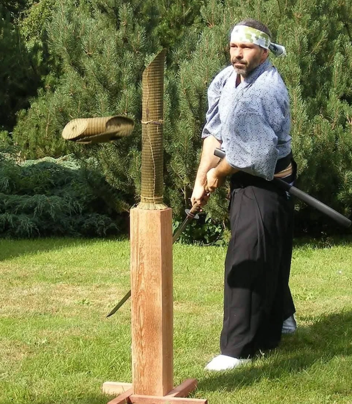 Martial arts movement